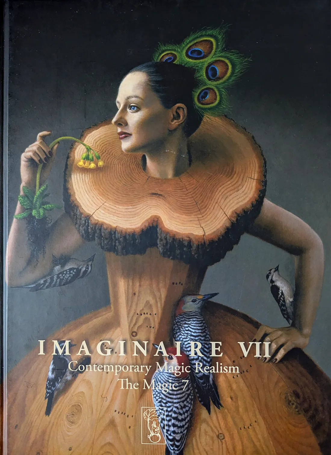 Imaginaire VII